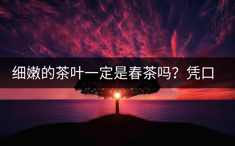 細嫩的茶葉一定是春茶嗎？憑口感鑒別春茶的方法