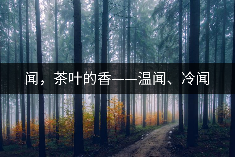 聞，茶葉的香——溫聞、冷聞