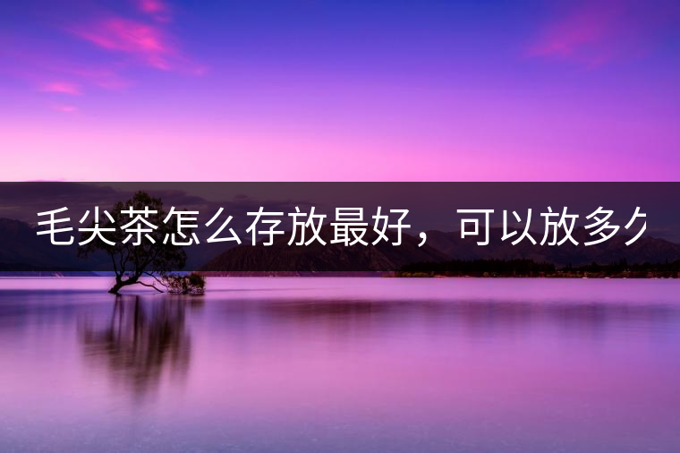 毛尖茶怎么存放最好，可以放多久？