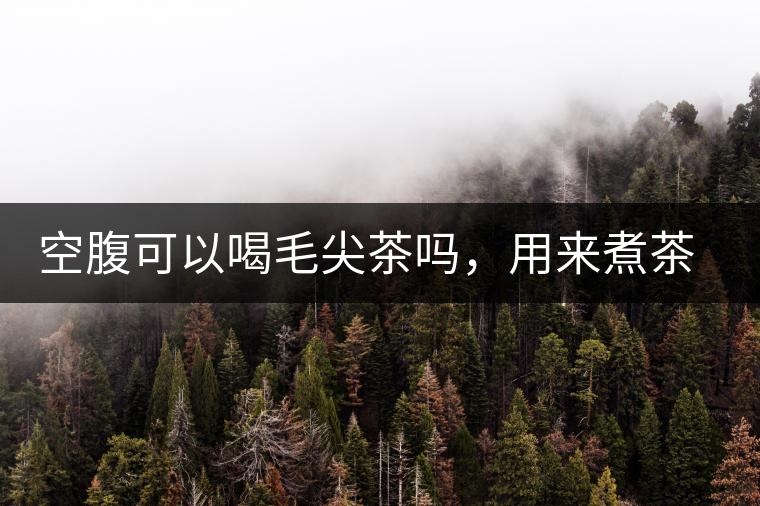 空腹可以喝毛尖茶嗎，用來煮茶葉蛋怎么樣？