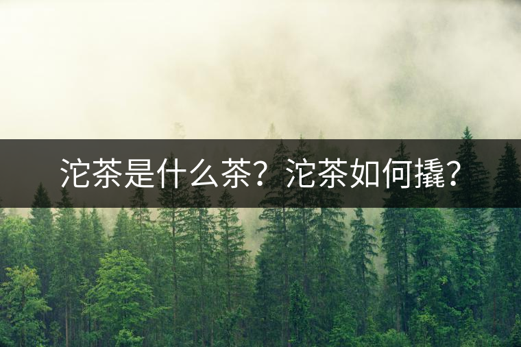 沱茶是什么茶？沱茶如何撬？