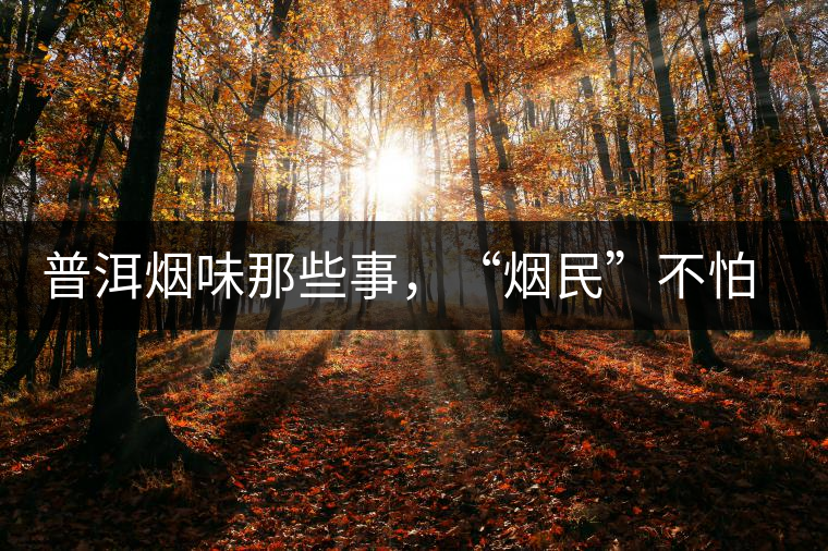 普洱煙味那些事，“煙民”不怕當