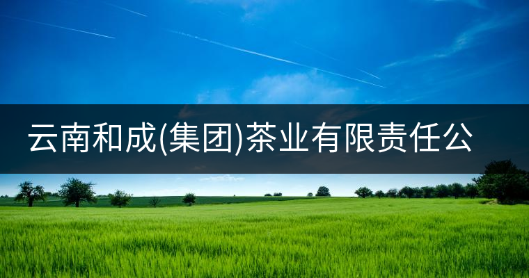 云南和成(集團(tuán))茶業(yè)有限責(zé)任公司 云南和成(集團(tuán))茶業(yè)有限責(zé)任公司