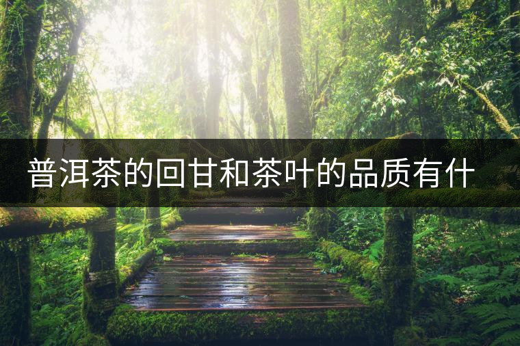 普洱茶的回甘和茶葉的品質(zhì)有什么關系？
