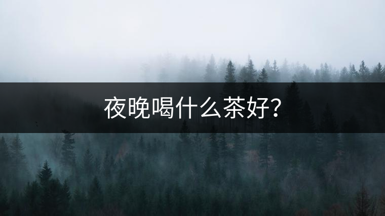 夜晚喝什么茶好？