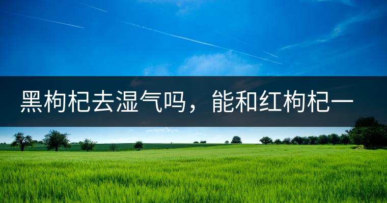 黑枸杞去濕氣嗎，能和紅枸杞一起泡嗎？