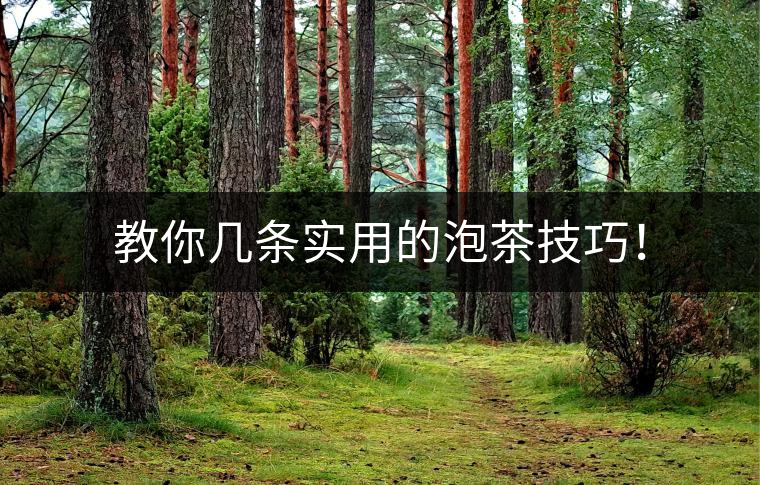 教你幾條實(shí)用的泡茶技巧！