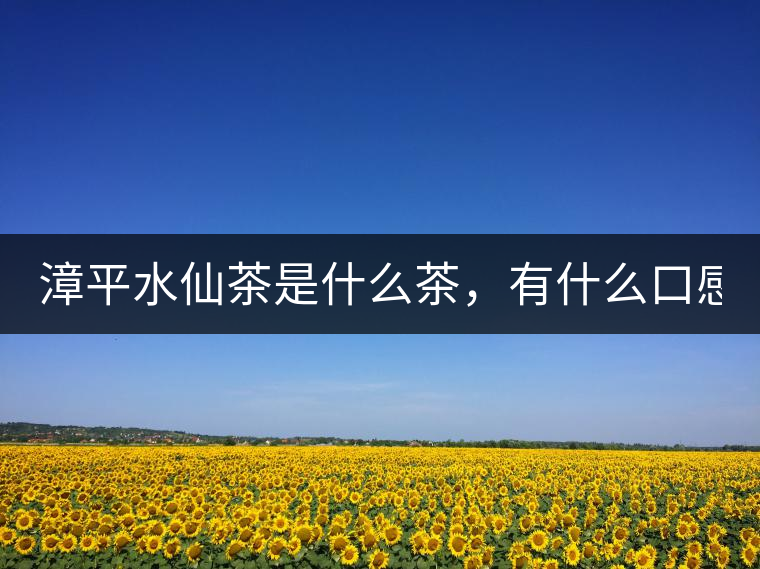 漳平水仙茶是什么茶，有什么口感特點！