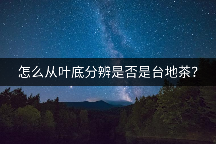 怎么從葉底分辨是否是臺(tái)地茶？