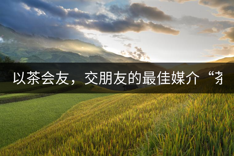 以茶會友，交朋友的最佳媒介“茶”！