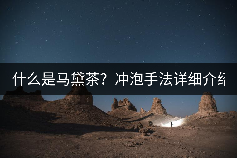 什么是馬黛茶？沖泡手法詳細(xì)介紹！