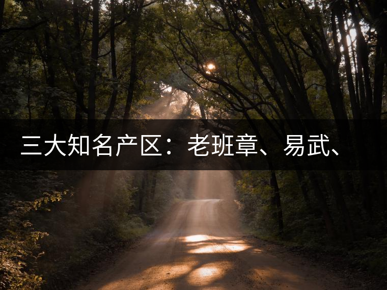 三大知名產(chǎn)區(qū)：老班章、易武、景邁三大茶系都有哪些特點(diǎn)！