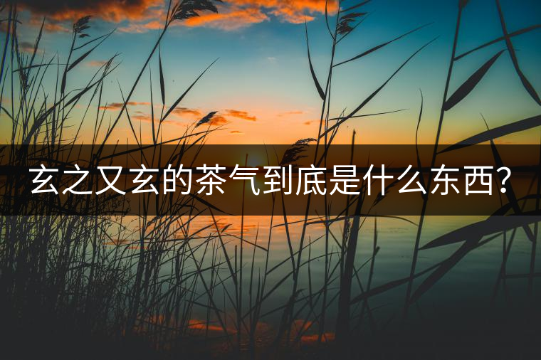 玄之又玄的茶氣到底是什么東西？