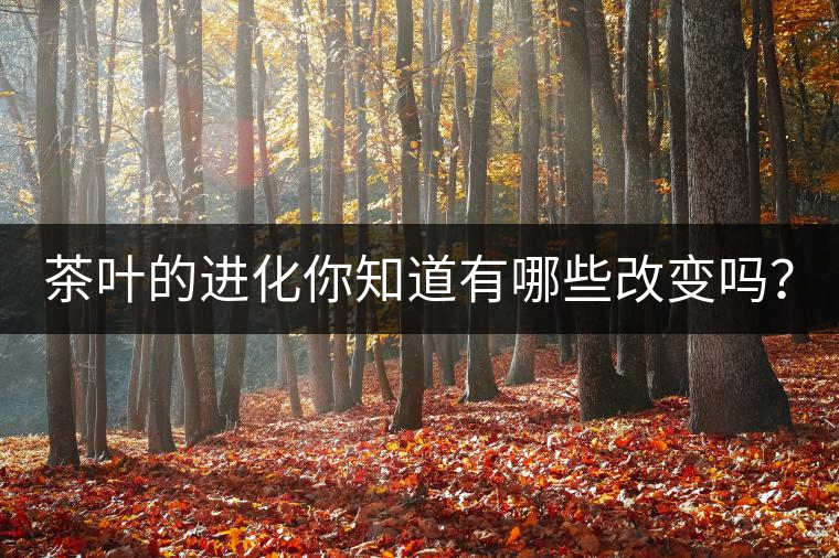 茶葉的進(jìn)化你知道有哪些改變嗎？