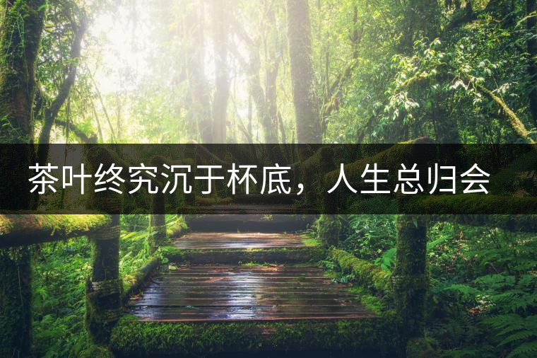 茶葉終究沉于杯底，人生總歸會要謝幕