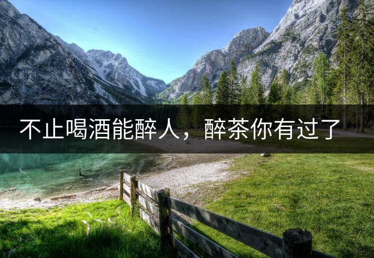不止喝酒能醉人，醉茶你有過(guò)了解嗎？