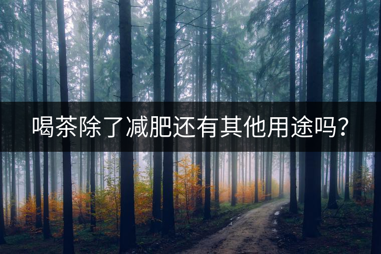 喝茶除了減肥還有其他用途嗎？