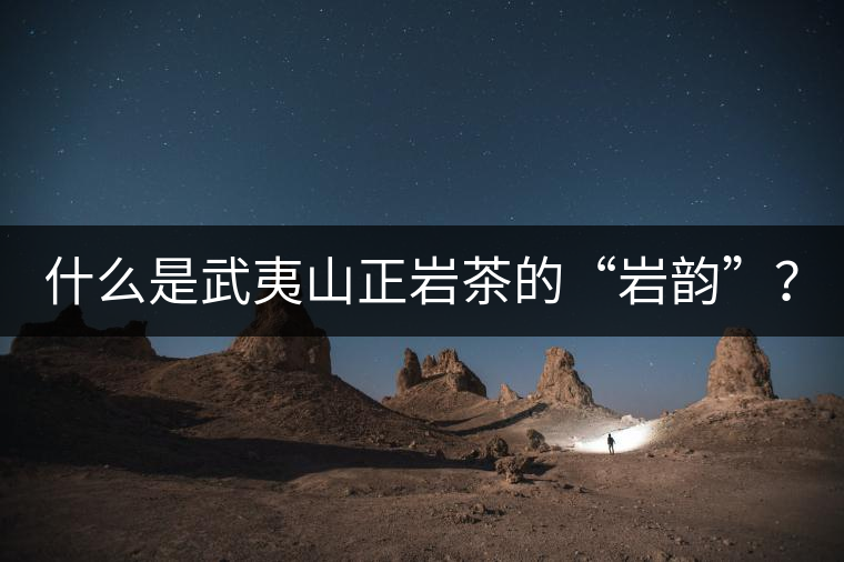 什么是武夷山正巖茶的“巖韻”？