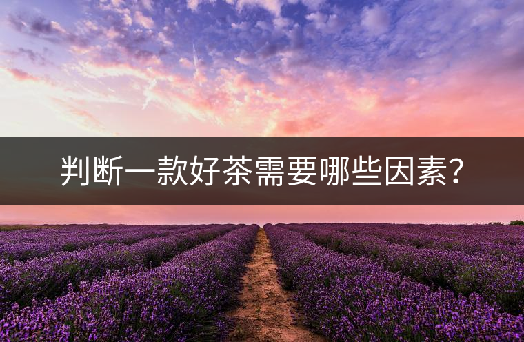 判斷一款好茶需要哪些因素？