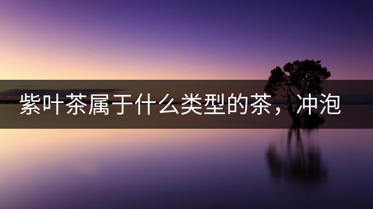 紫葉茶屬于什么類型的茶，沖泡需要注意什么？