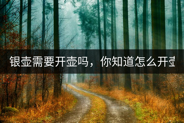 銀壺需要開(kāi)壺嗎，你知道怎么開(kāi)壺？