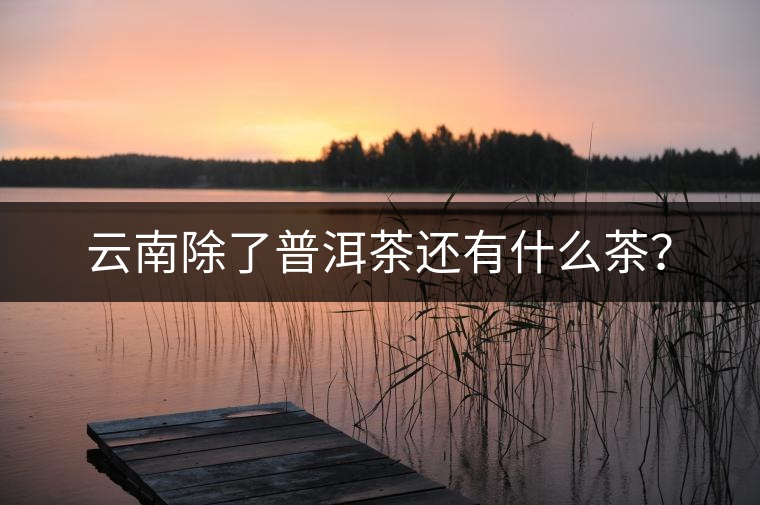 云南除了普洱茶還有什么茶？