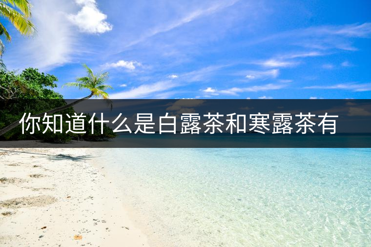你知道什么是白露茶和寒露茶有區(qū)別嗎？