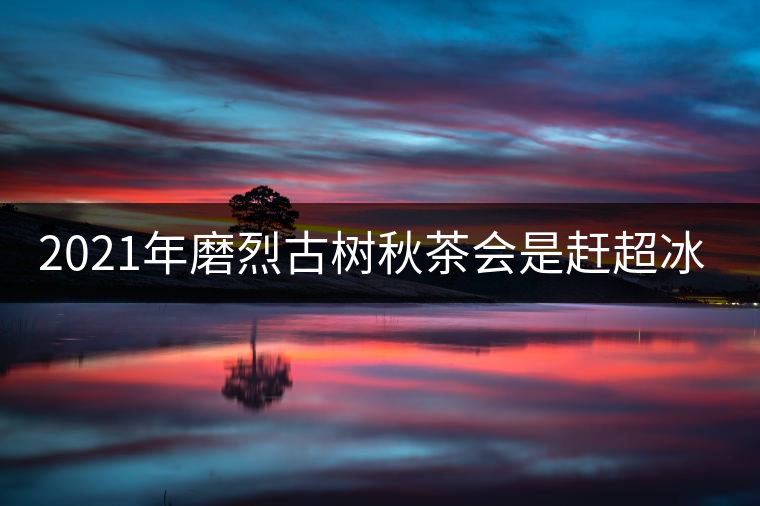 2021年磨烈古樹秋茶會是趕超冰島的存在嗎？