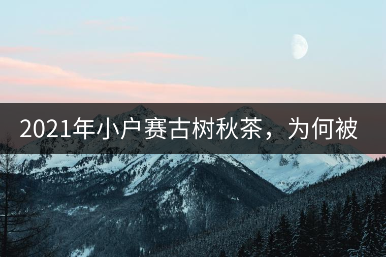 2021年小戶賽古樹(shù)秋茶，為何被稱為賽冰島？