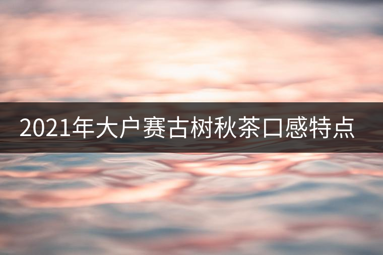 2021年大戶賽古樹秋茶口感特點?