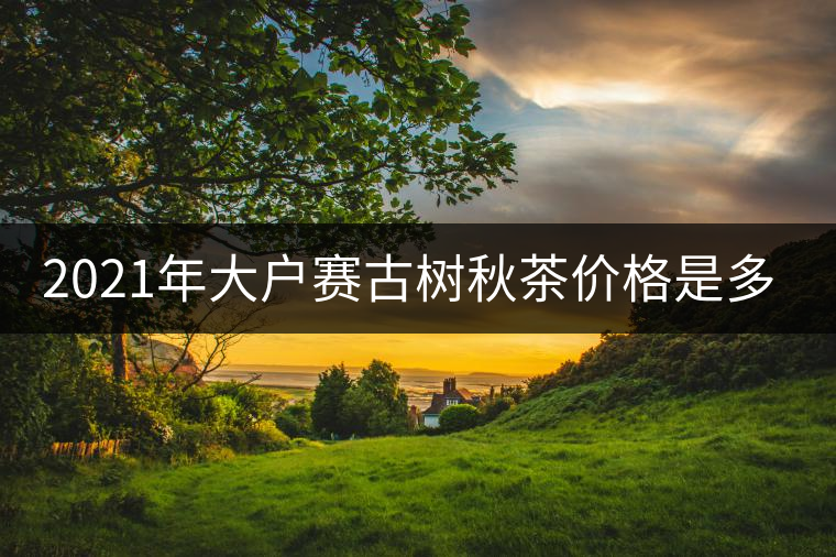 2021年大戶賽古樹秋茶價(jià)格是多少？