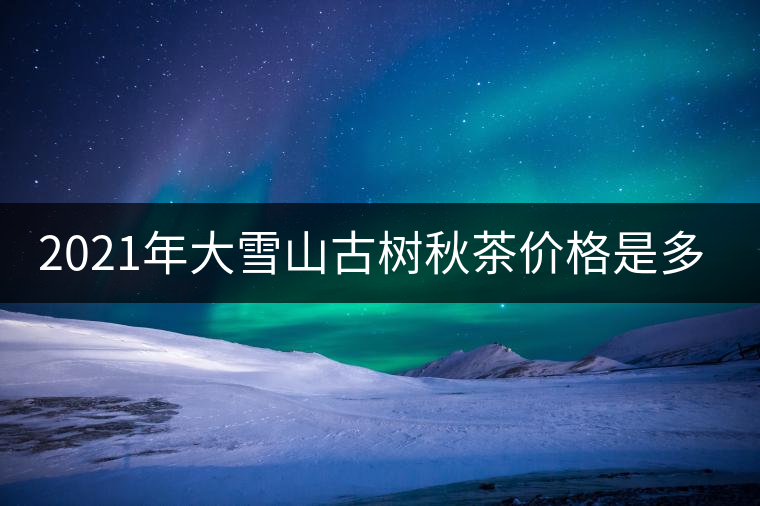 2021年大雪山古樹秋茶價(jià)格是多少？