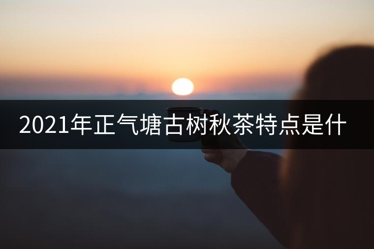 2021年正氣塘古樹秋茶特點是什么？