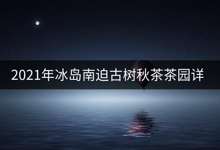 2021年冰島南迫古樹(shù)秋茶茶園詳解！