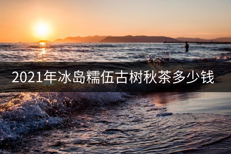 2021年冰島糯伍古樹秋茶多少錢一公斤？