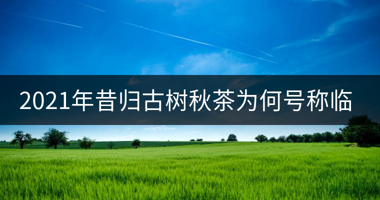 2021年昔歸古樹秋茶為何號(hào)稱臨滄老班章？