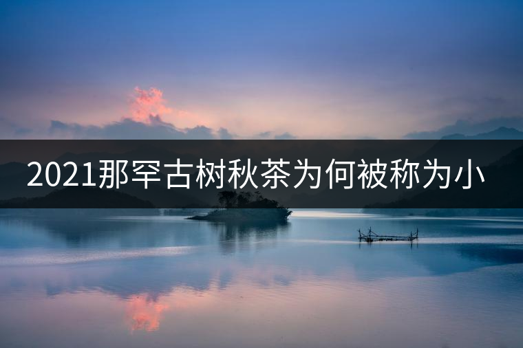 2021那罕古樹秋茶為何被稱為小昔歸？