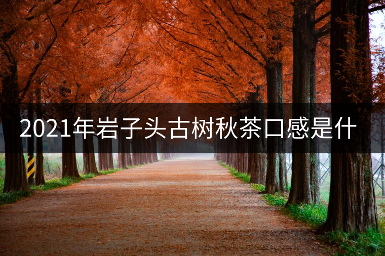 2021年巖子頭古樹秋茶口感是什么？