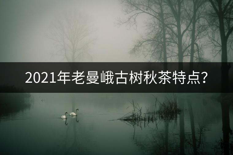 2021年老曼峨古樹(shù)秋茶特點(diǎn)？