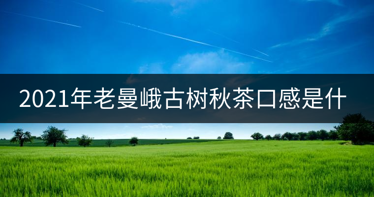 2021年老曼峨古樹秋茶口感是什么？