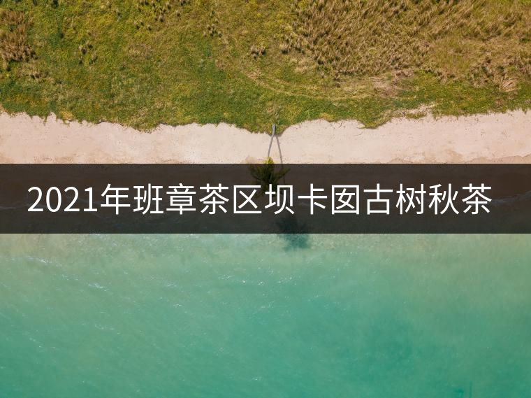 2021年班章茶區(qū)壩卡囡古樹秋茶多少錢一公斤？