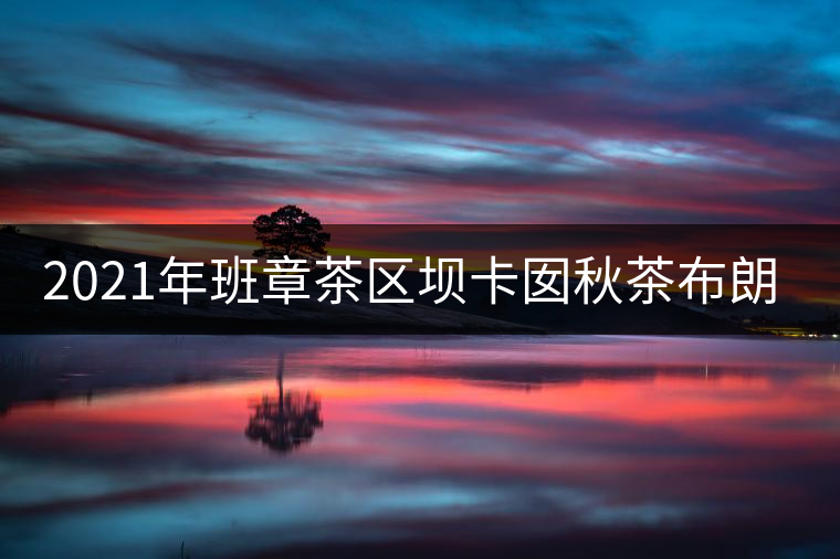 2021年班章茶區(qū)壩卡囡秋茶布朗茶系中的甜茶類！