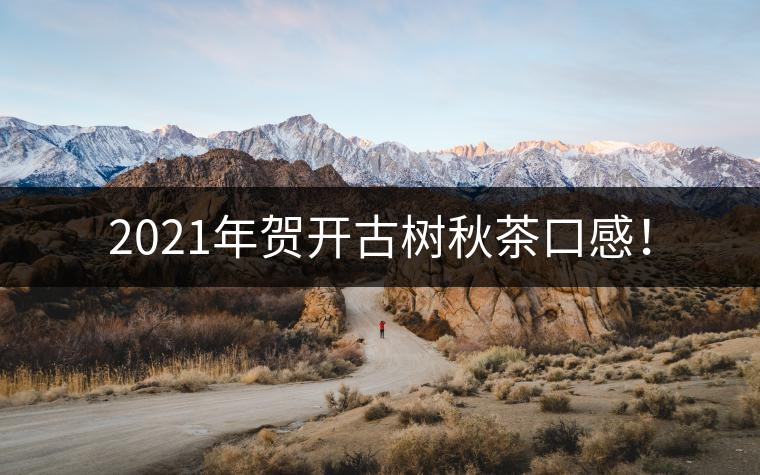 2021年賀開古樹秋茶口感！