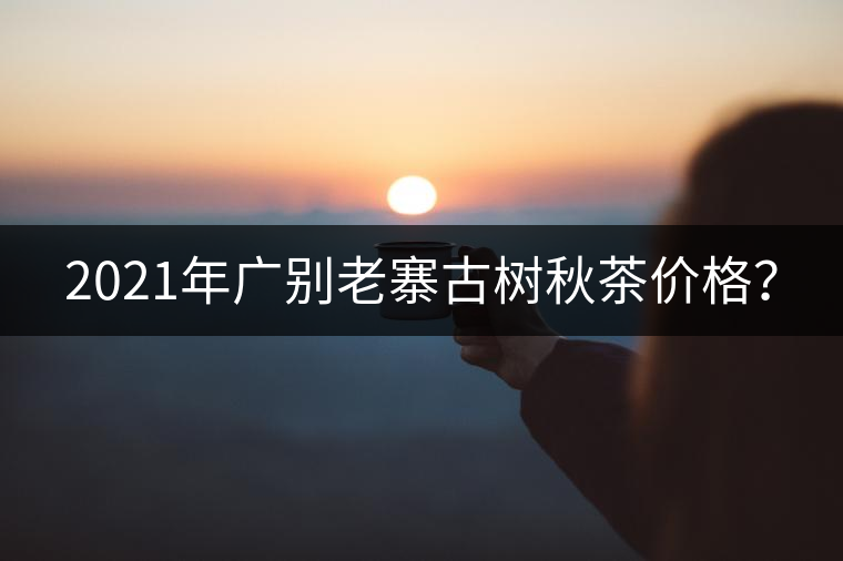 2021年廣別老寨古樹秋茶價格？