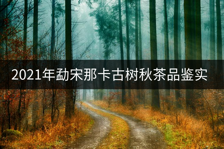 2021年勐宋那卡古樹秋茶品鑒實錄！