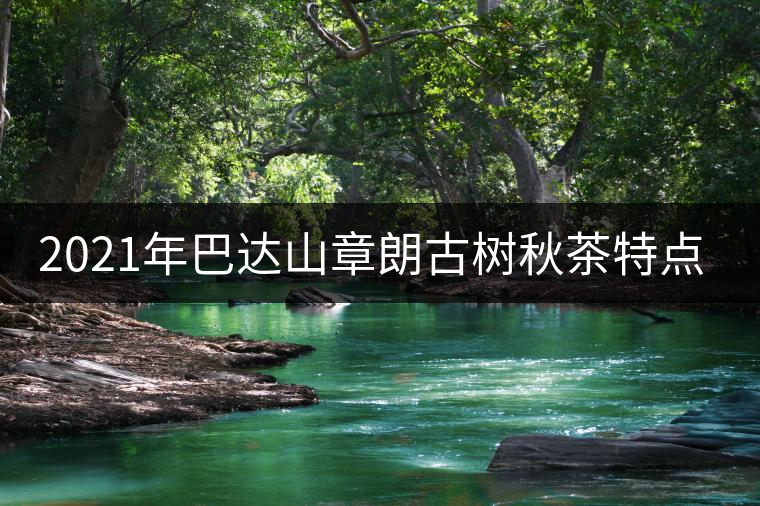 2021年巴達(dá)山章朗古樹(shù)秋茶特點(diǎn)？