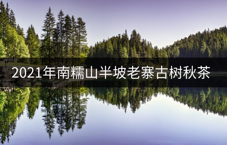 2021年南糯山半坡老寨古樹秋茶特點？