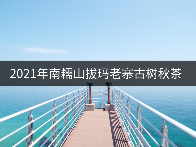 2021年南糯山拔瑪老寨古樹秋茶特點(diǎn)是什么？