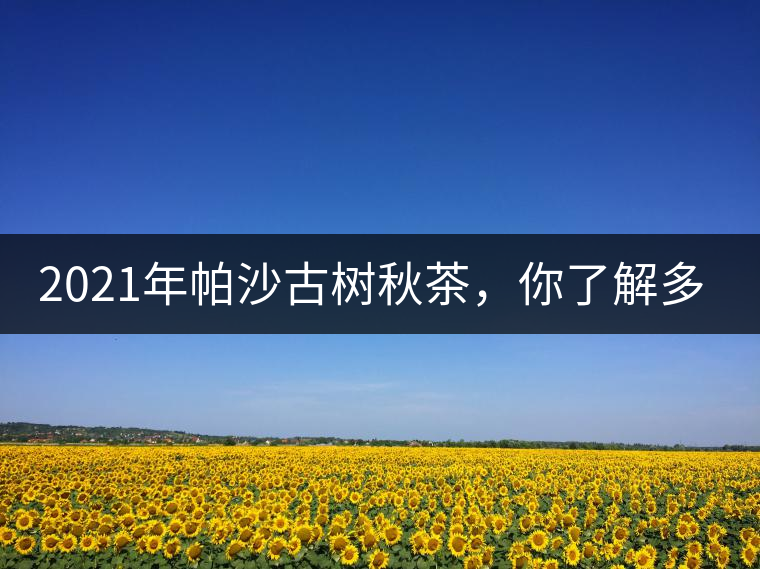 2021年帕沙古樹秋茶，你了解多少？