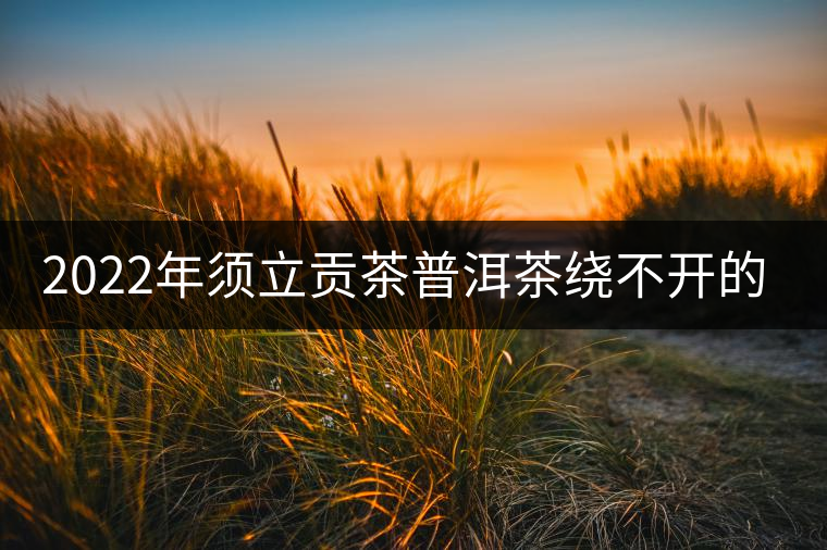 2022年須立貢茶普洱茶繞不開的古茶山！